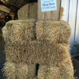 Morris Farm Market photo