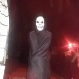 Yard of Terror photo