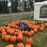 Barton Orchards photo