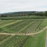 Barton Orchards photo