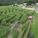Barton Orchards photo