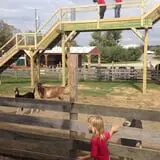 Barton Orchards photo