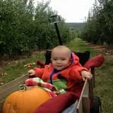 Barton Orchards photo
