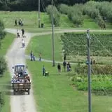 Barton Orchards photo