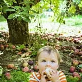 Barton Orchards photo