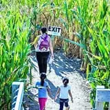Barton Orchards photo