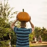 Barton Orchards photo