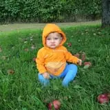 Barton Orchards photo