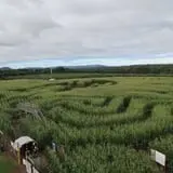 Barton Orchards photo