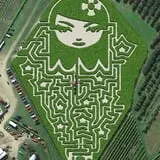 Barton Orchards photo