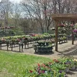 Barton Orchards photo