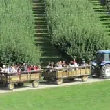 Barton Orchards photo
