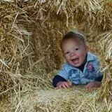 Bozeman Maze photo
