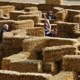Bozeman Maze photo