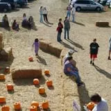 Bozeman Maze photo