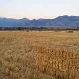 Bozeman Maze photo
