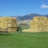 Bozeman Maze photo