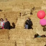 Bozeman Maze photo