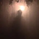 Oasis Island Of Terror photo