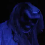 Oasis Island Of Terror photo