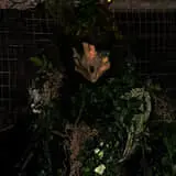 Oasis Island Of Terror photo