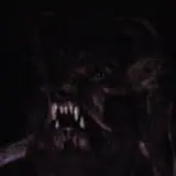 Oasis Island Of Terror photo