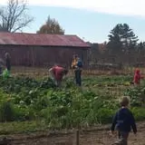 Minnesota Fresh Farm photo
