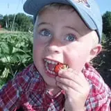 Minnesota Fresh Farm photo