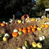 Minnesota Fresh Farm photo