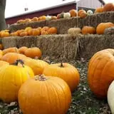 Minnesota Fresh Farm photo