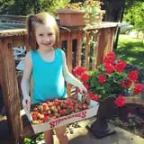 Minnesota Fresh Farm photo