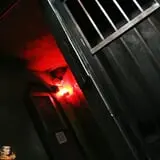 Asylum & Hotel Fear photo