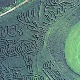 2004 - Buck Fever
