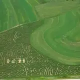 2013 - Farm Scene