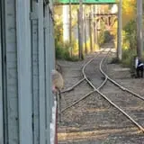 Fox River Trolley Museum - Haunted Ghost Story Train photo