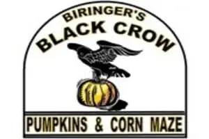 Biringer's Black Crow Pumpkins & Corn Maze