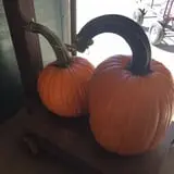 The Pumpkin Peddler photo