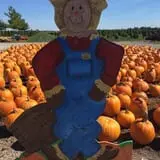 The Pumpkin Peddler photo