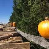 The Pumpkin Peddler photo