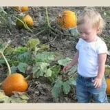 The Pumpkin Peddler photo