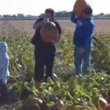 The Pumpkin Peddler photo