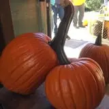 The Pumpkin Peddler photo