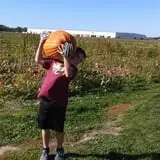 The Pumpkin Peddler photo