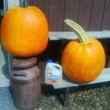 The Pumpkin Peddler photo