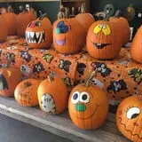 The Pumpkin Peddler photo