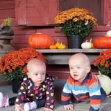 Hicks Orchard photo