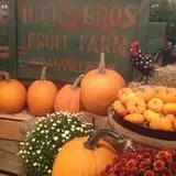 Hicks Orchard photo