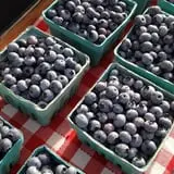 Hicks Orchard photo
