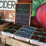 Hicks Orchard photo