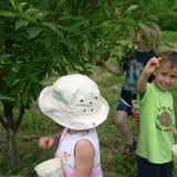 Hicks Orchard photo